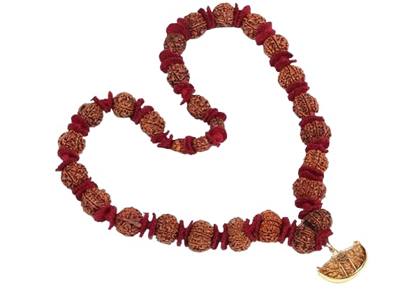Siddha 1–14 Mukhi Rudraksha Mala | Sarva Siddha Shakti Mala with Lab Certification